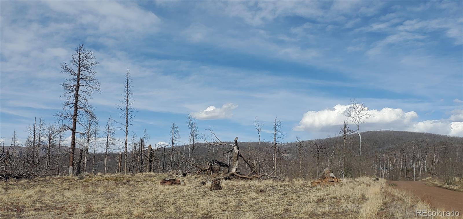 Lot 1227 Granville Loop Fort Garland CO 81133