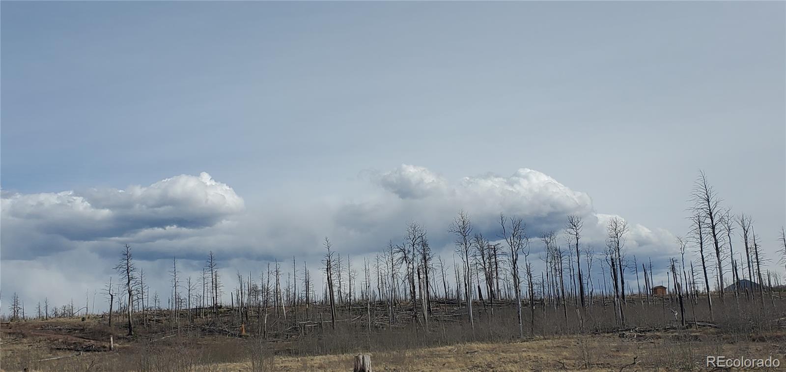 Lot 1227 Granville Loop Fort Garland CO 81133