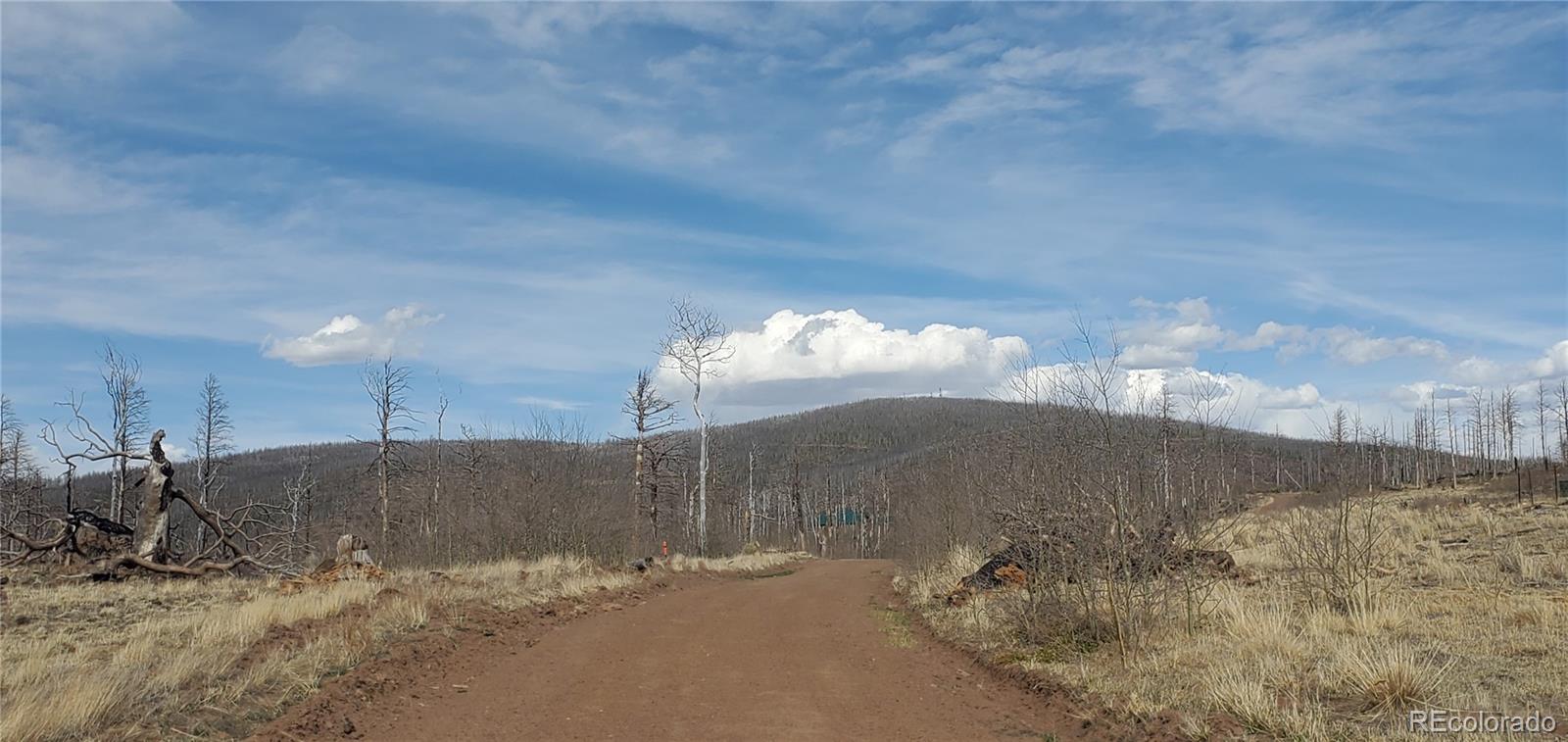 Lot 1227 Granville Loop Fort Garland CO 81133