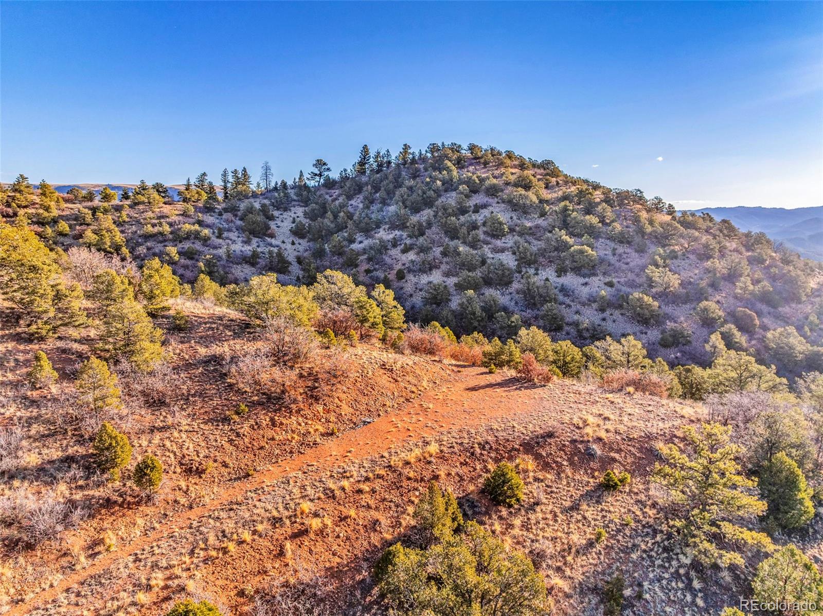 1089 Chris Crossover Canon City CO 81212