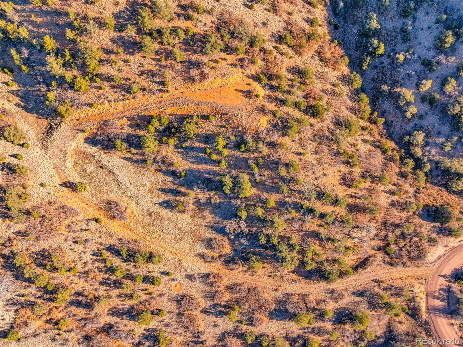 1089 Chris Crossover Canon City CO 81212