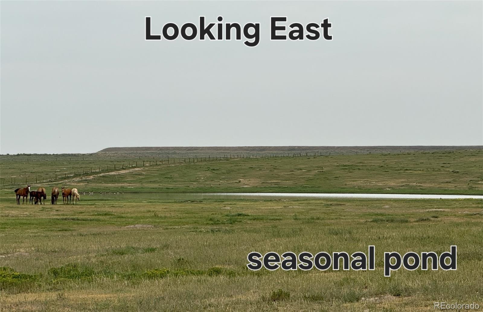 County Road 96 Lot 2 Pierce CO 80520