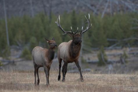 300 Virginia Avenue Leadville CO 80461