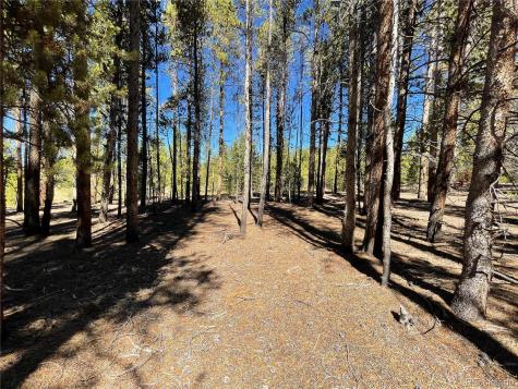 300 Virginia Avenue Leadville CO 80461