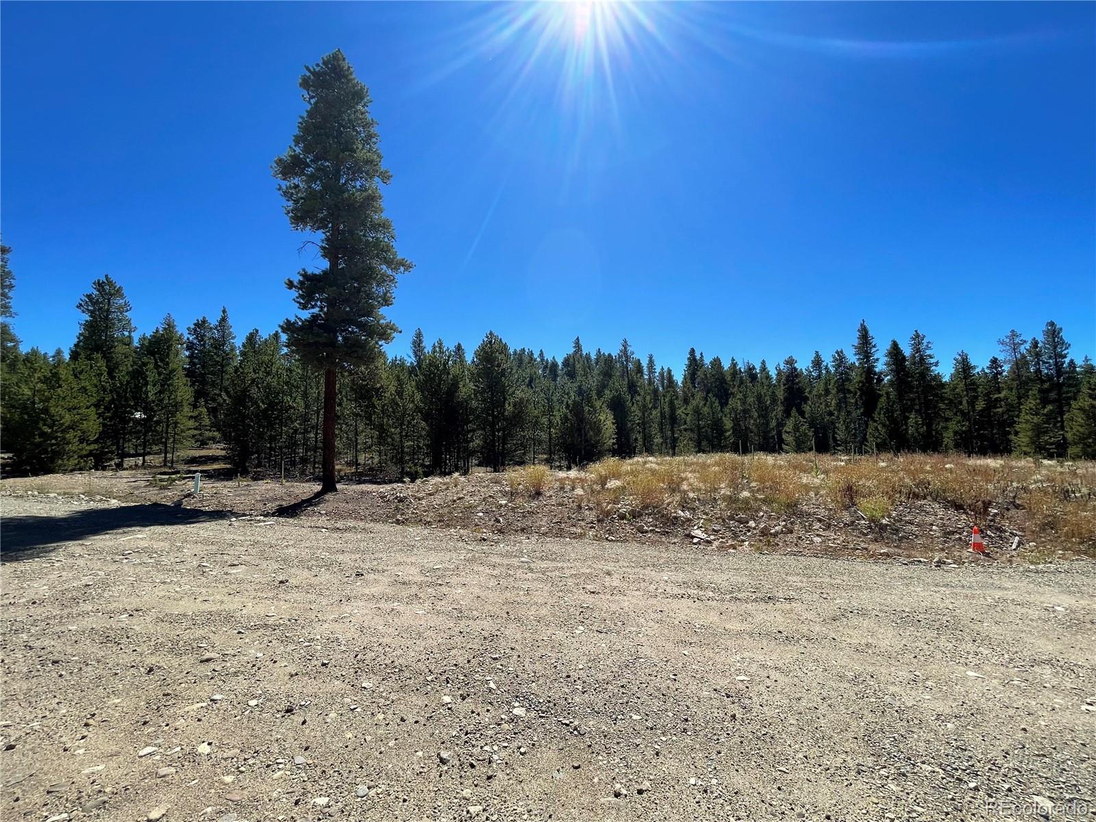 300 Virginia Avenue Leadville CO 80461