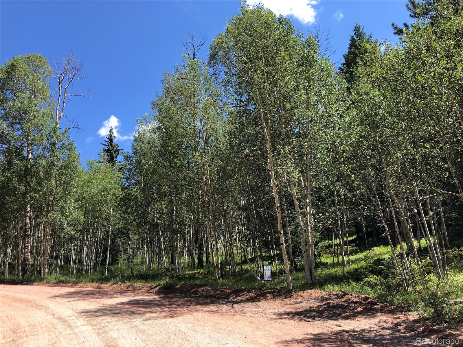 3015 N Mountain Estates Road Florissant CO 80816