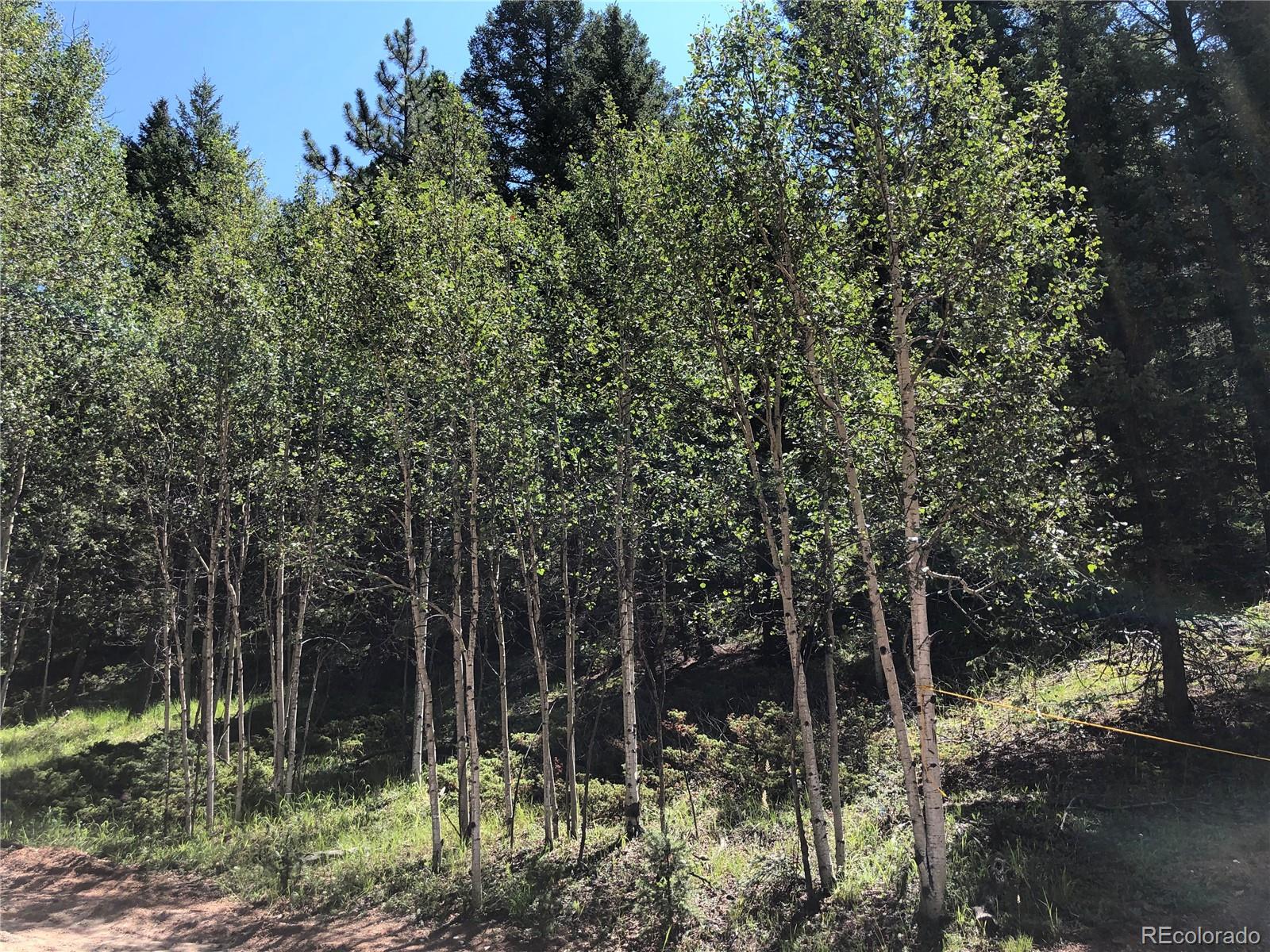3015 N Mountain Estates Road Florissant CO 80816