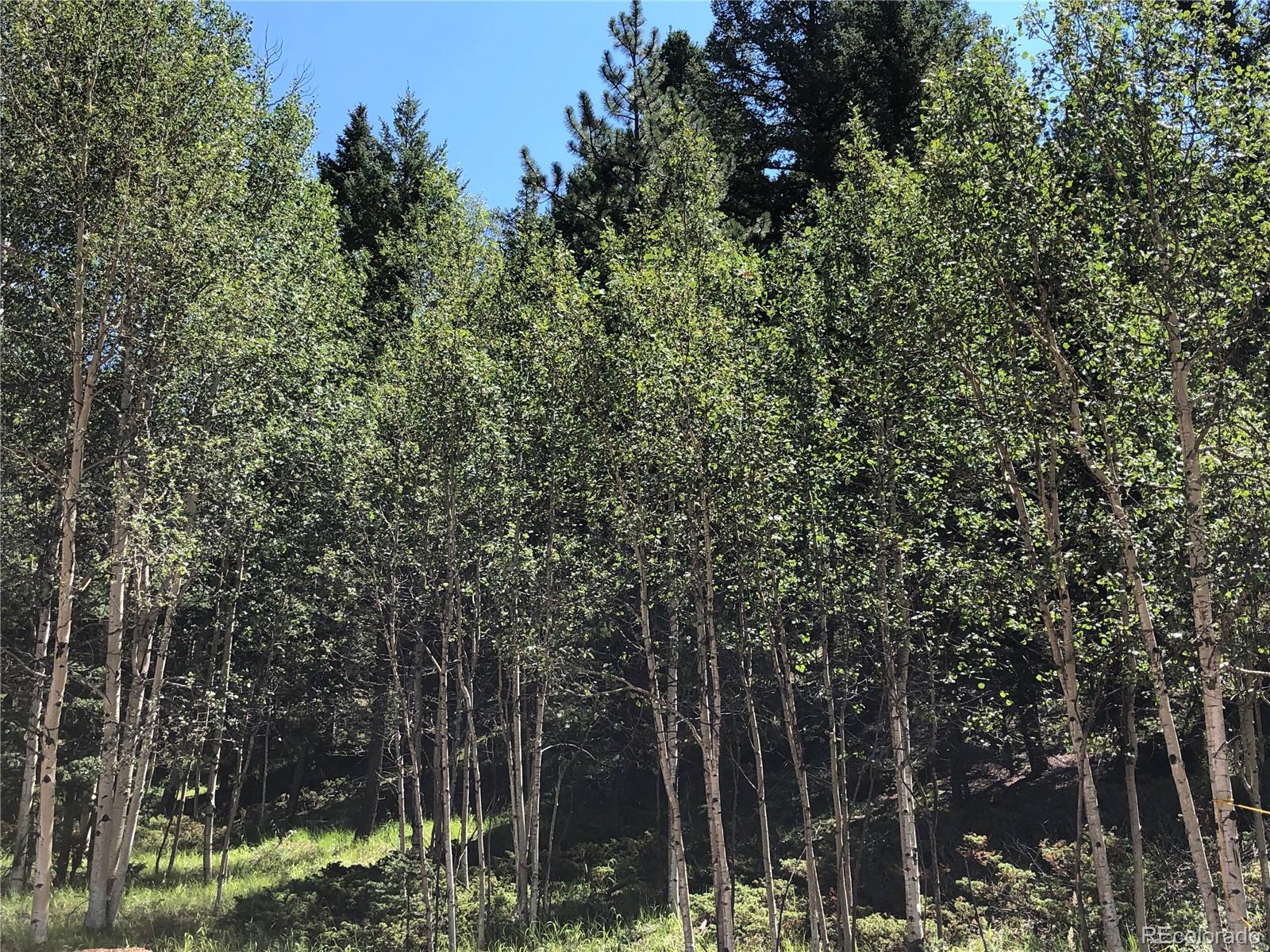 3015 N Mountain Estates Road Florissant CO 80816