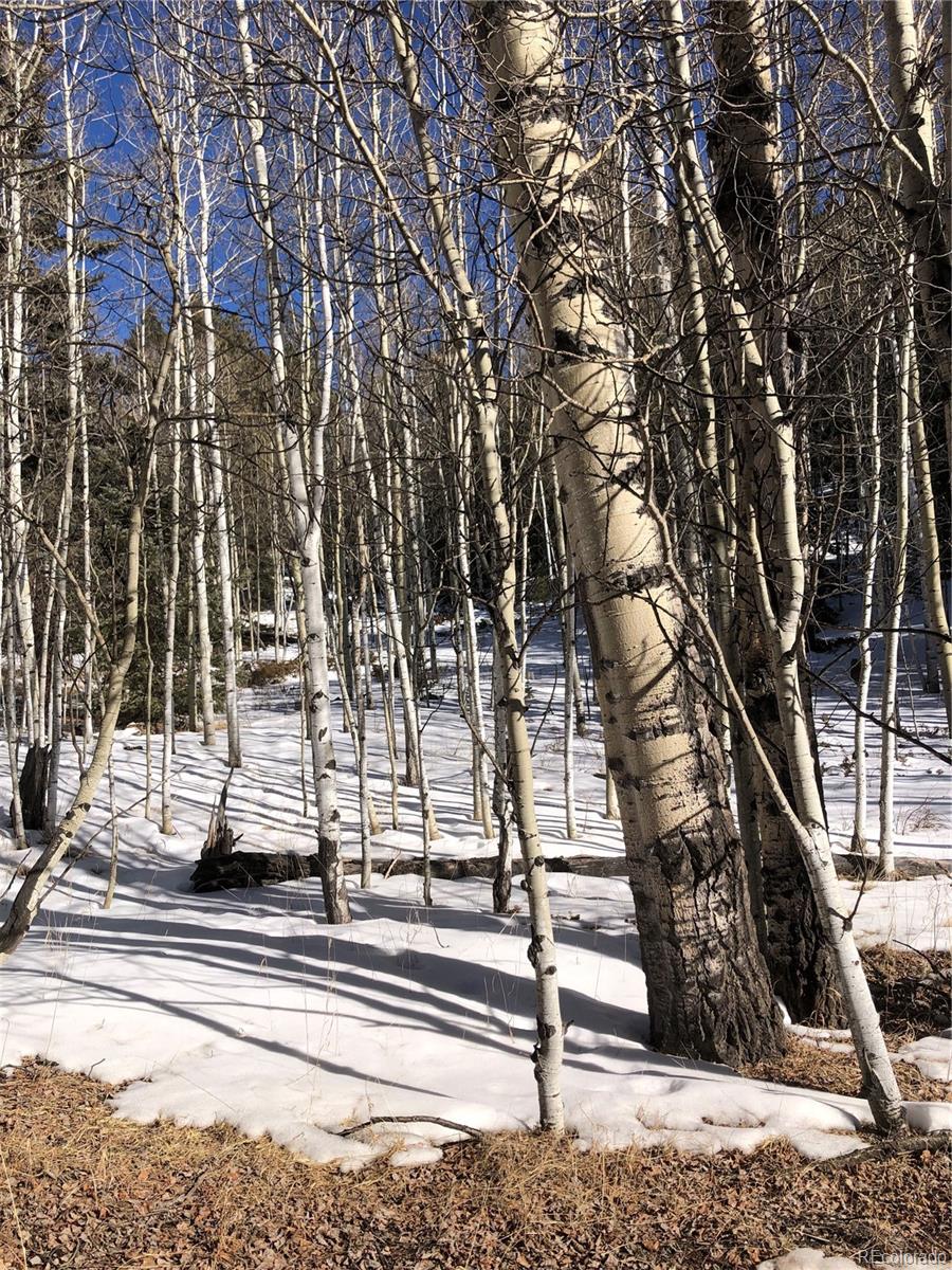 3015 N Mountain Estates Road Florissant CO 80816
