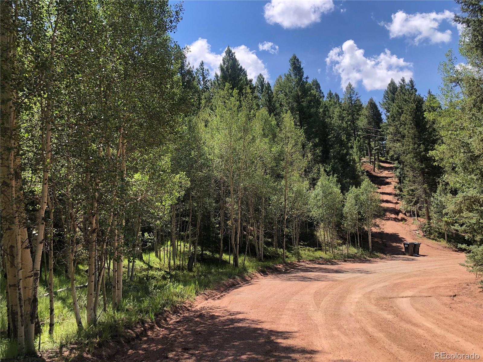 3015 N Mountain Estates Road Florissant CO 80816