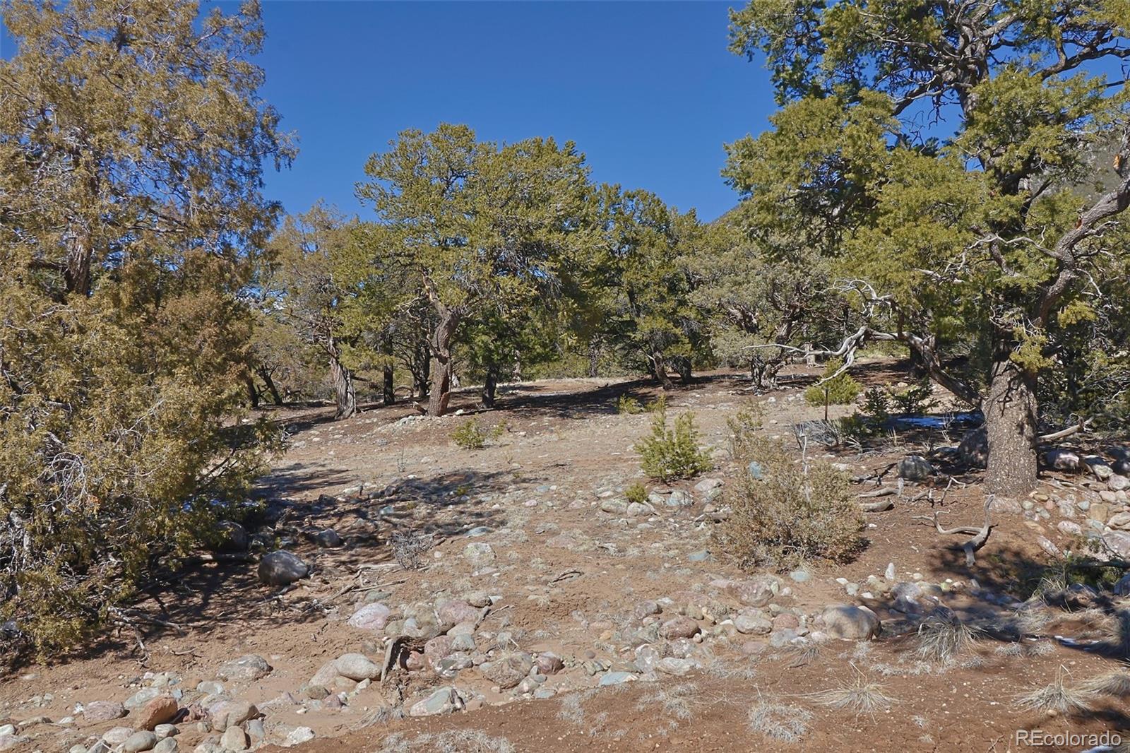 3608 Splendid Terrace Crestone CO 81131