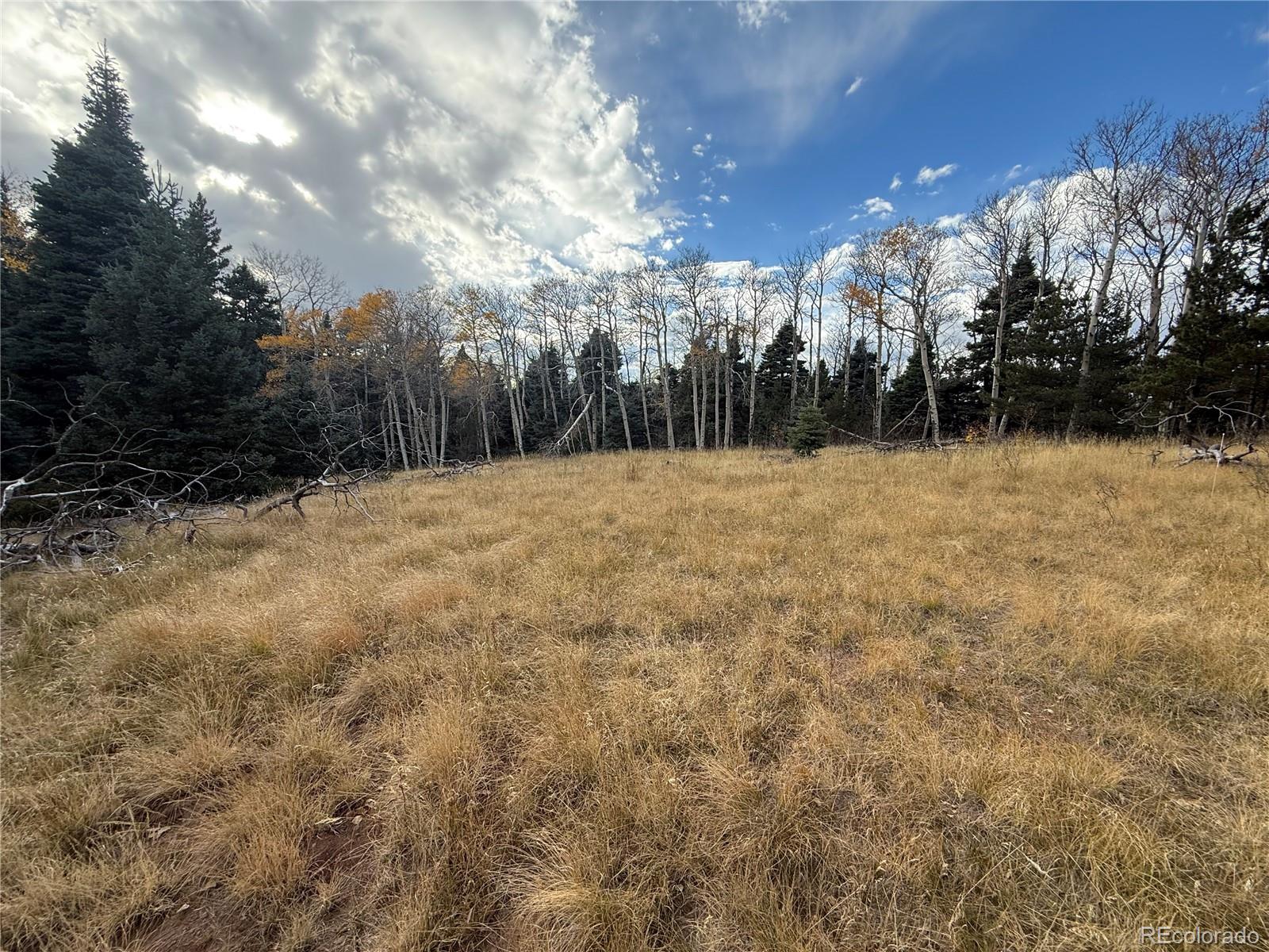 2663 Petito Drive Fort Garland CO 81133