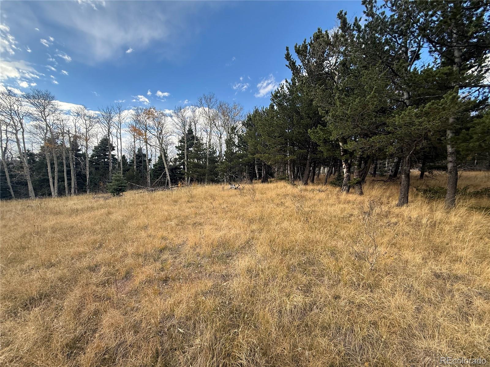 2663 Petito Drive Fort Garland CO 81133