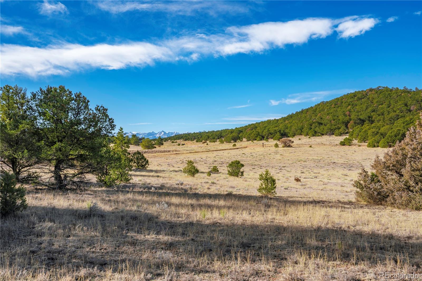 1382 Chinook Drive Canon City CO 81212