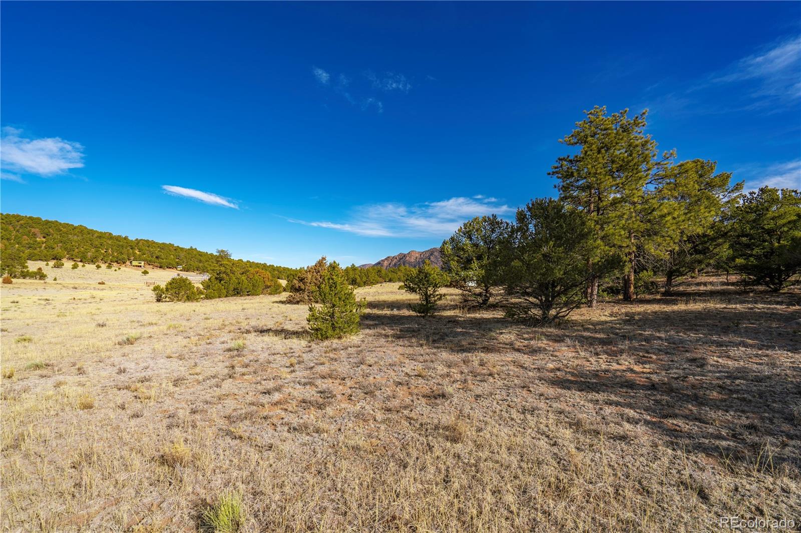 1382 Chinook Drive Canon City CO 81212