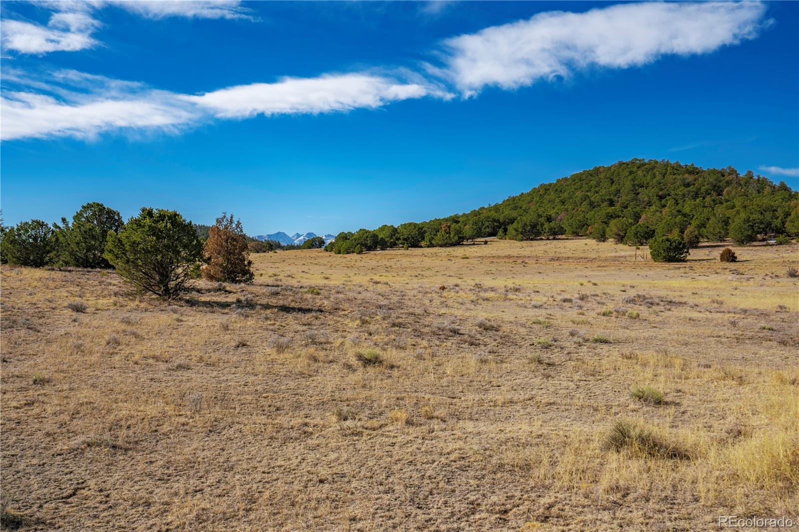 1382 Chinook Drive Canon City CO 81212