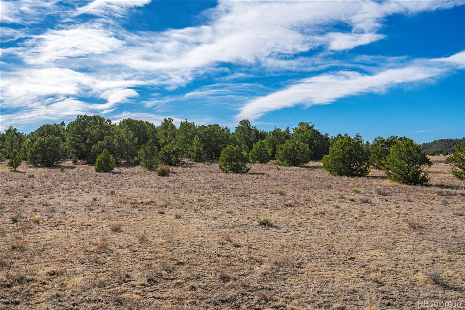 1382 Chinook Drive Canon City CO 81212