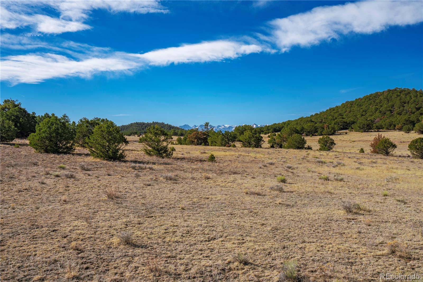 1382 Chinook Drive Canon City CO 81212
