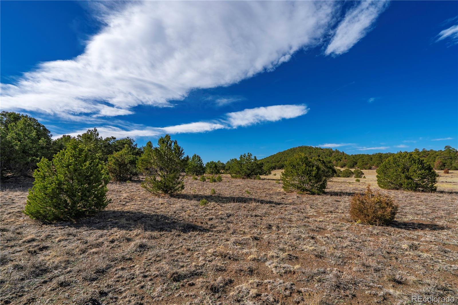 1382 Chinook Drive Canon City CO 81212