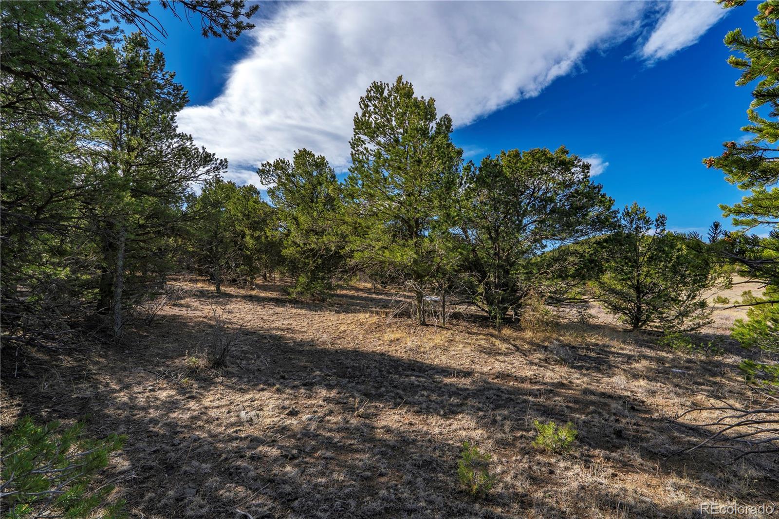 1382 Chinook Drive Canon City CO 81212