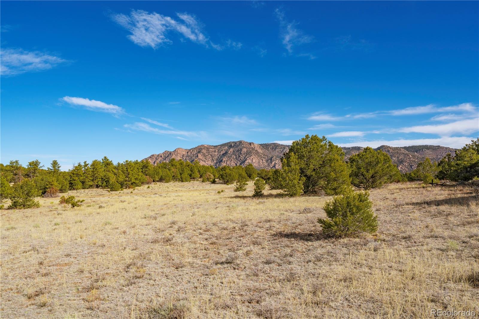 1382 Chinook Drive Canon City CO 81212