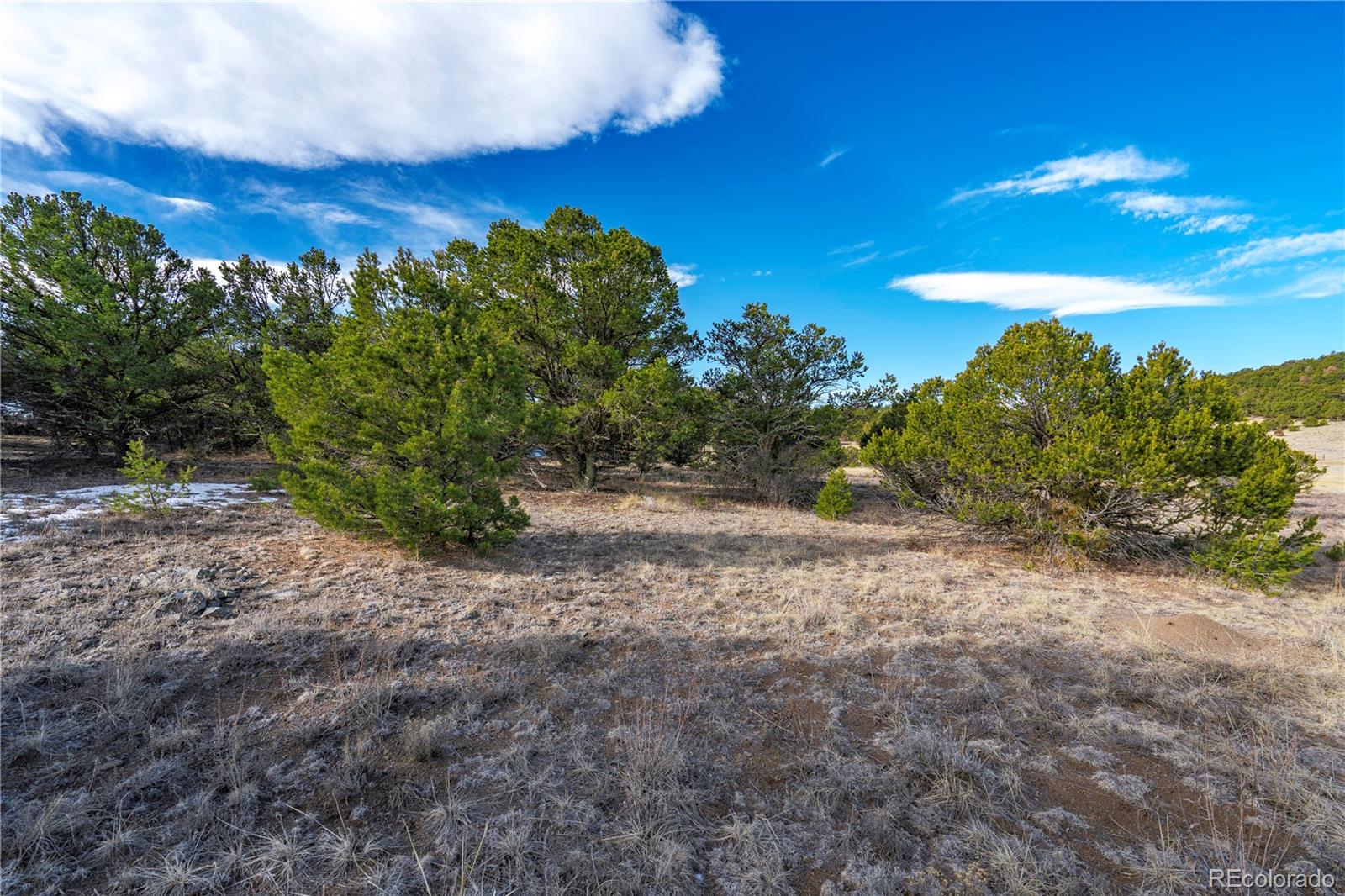 1382 Chinook Drive Canon City CO 81212