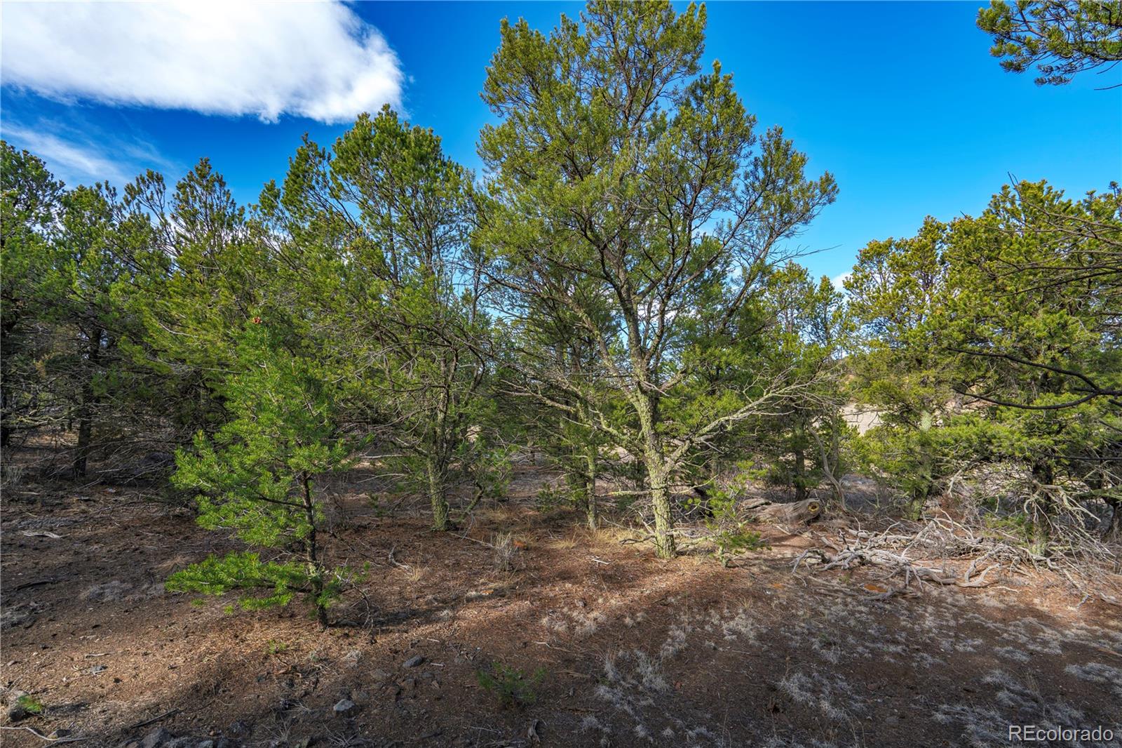 1382 Chinook Drive Canon City CO 81212