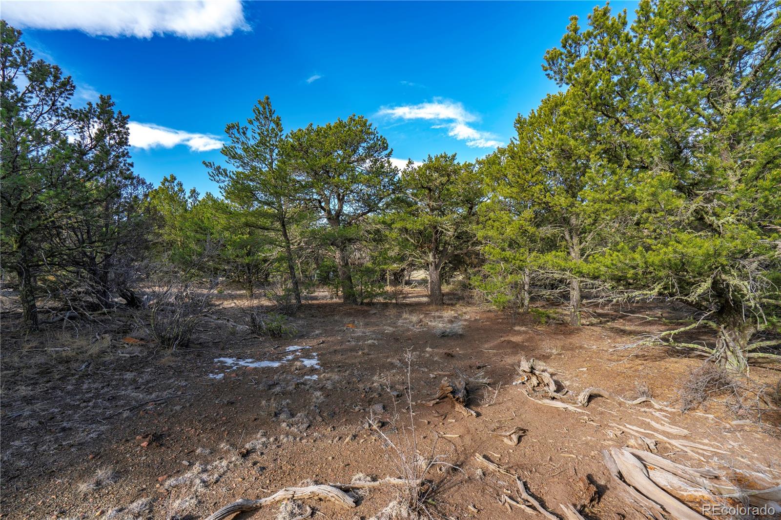 1382 Chinook Drive Canon City CO 81212