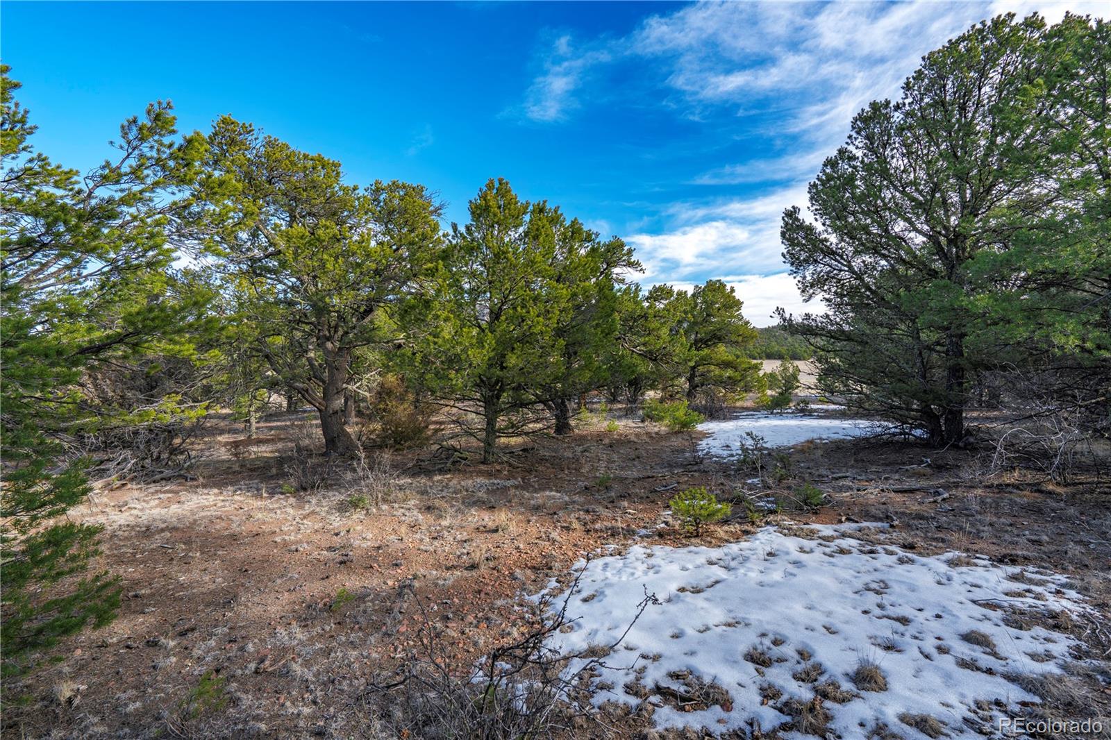 1382 Chinook Drive Canon City CO 81212