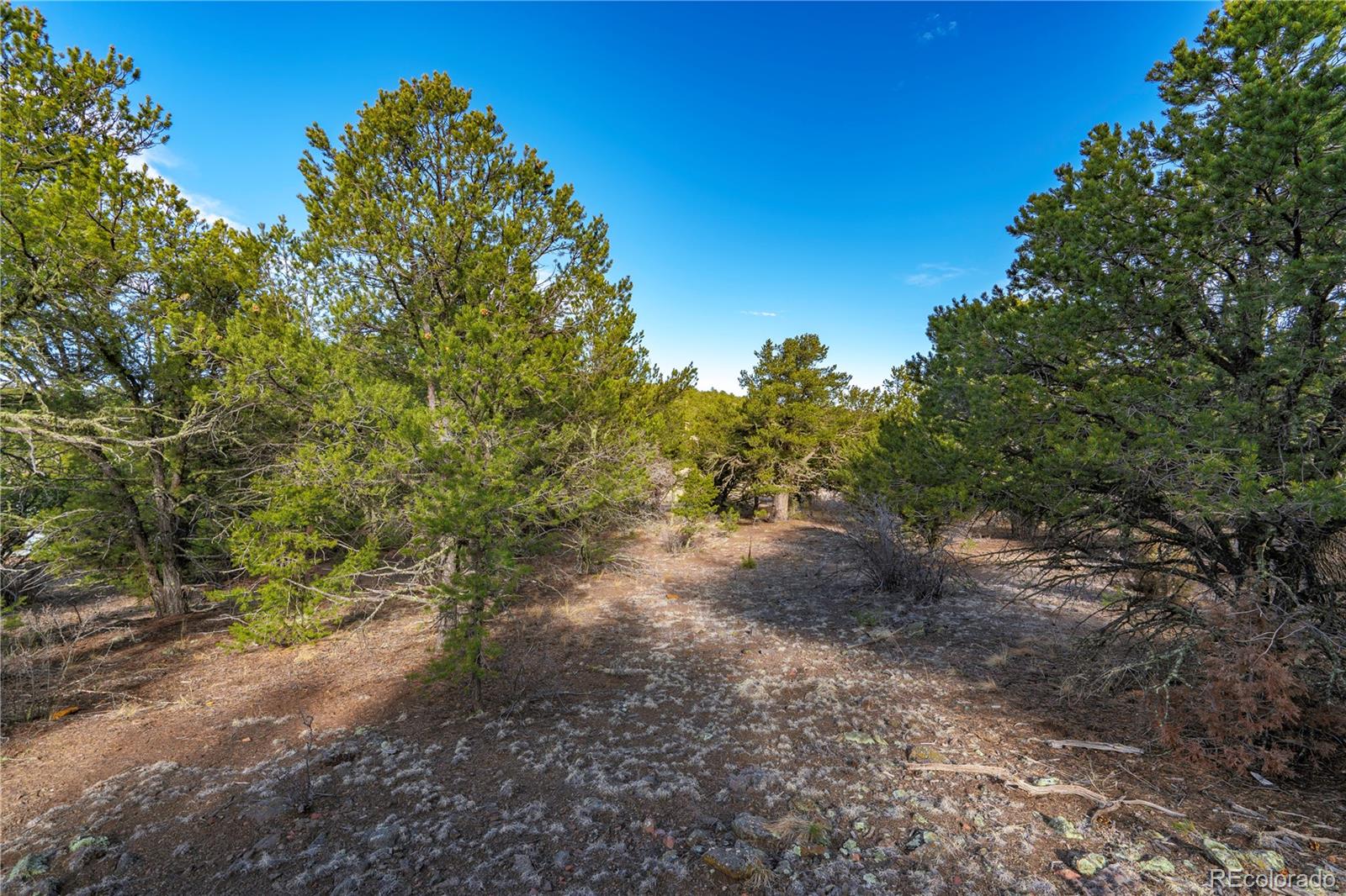 1382 Chinook Drive Canon City CO 81212