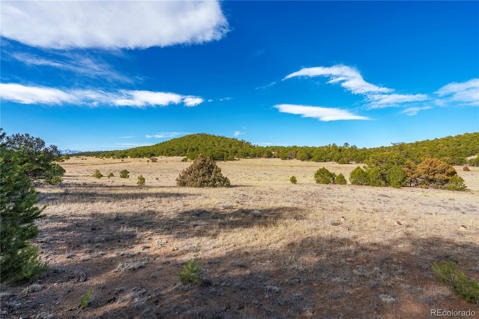 1382 Chinook Drive Canon City CO 81212