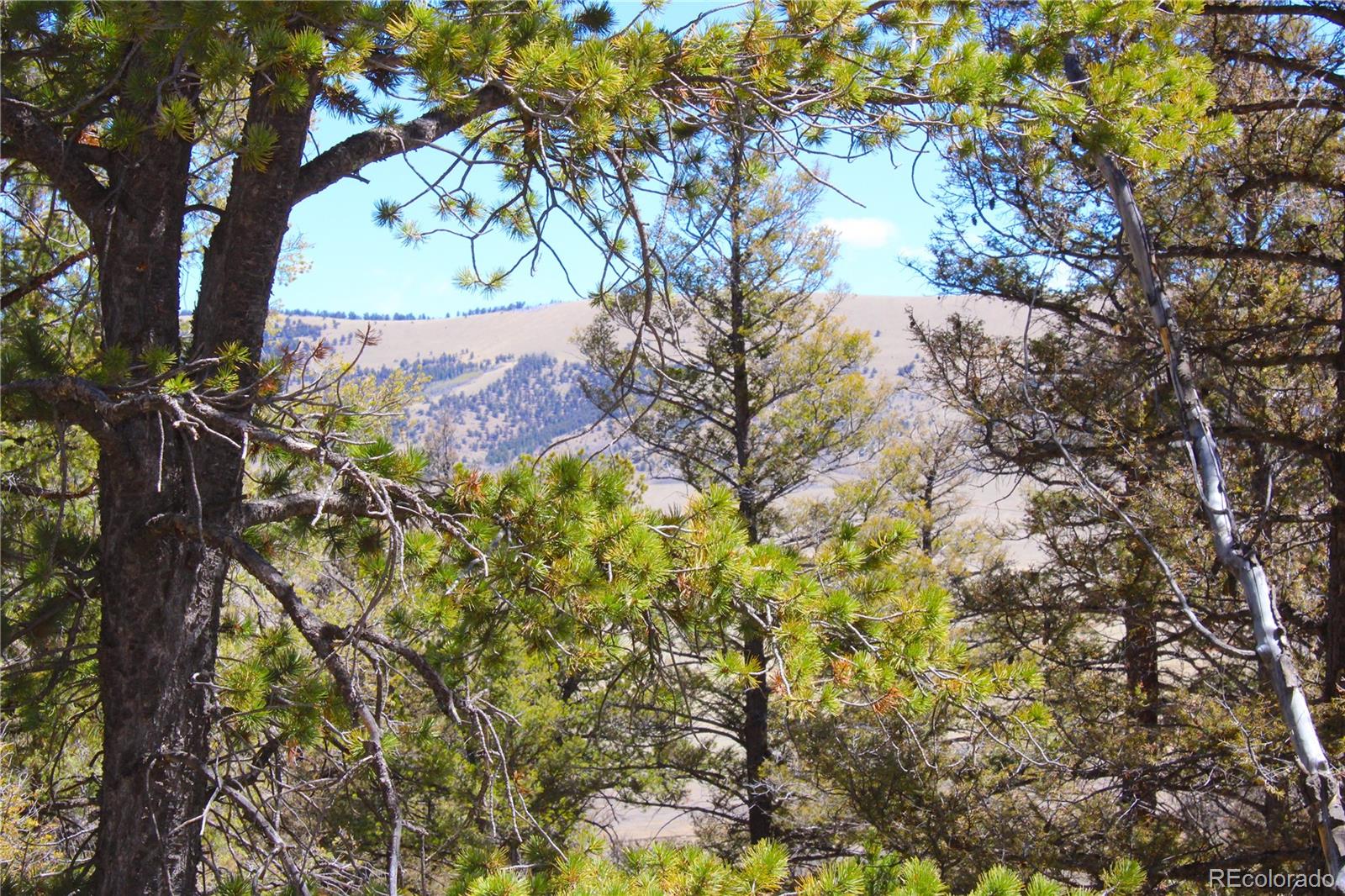 2882 Middle Fork Vista Fairplay CO 80440