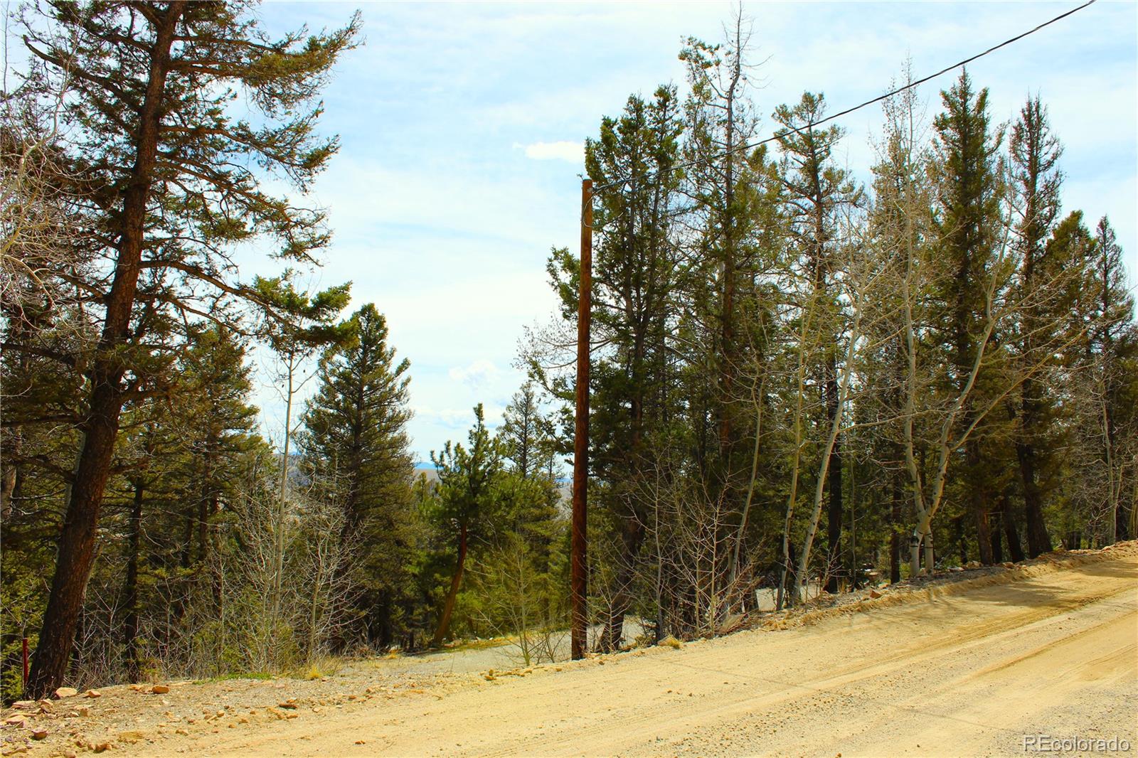 2882 Middle Fork Vista Fairplay CO 80440