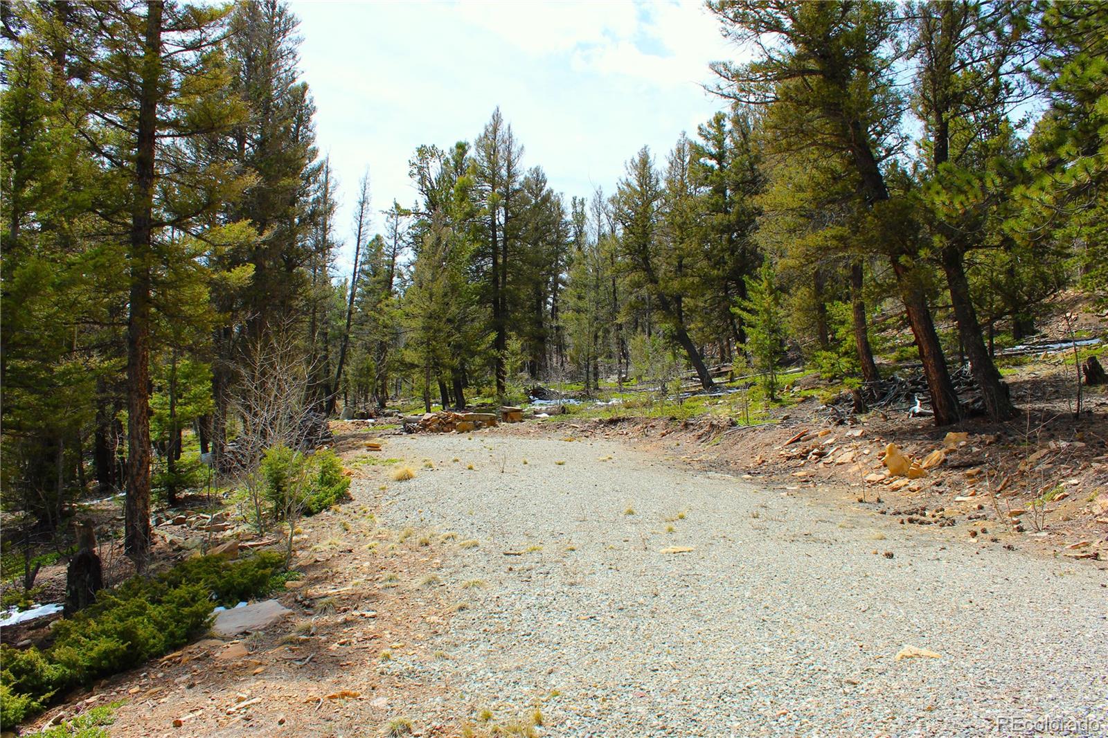2882 Middle Fork Vista Fairplay CO 80440