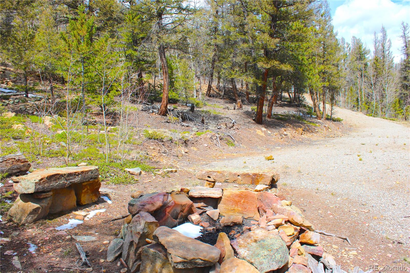 2882 Middle Fork Vista Fairplay CO 80440