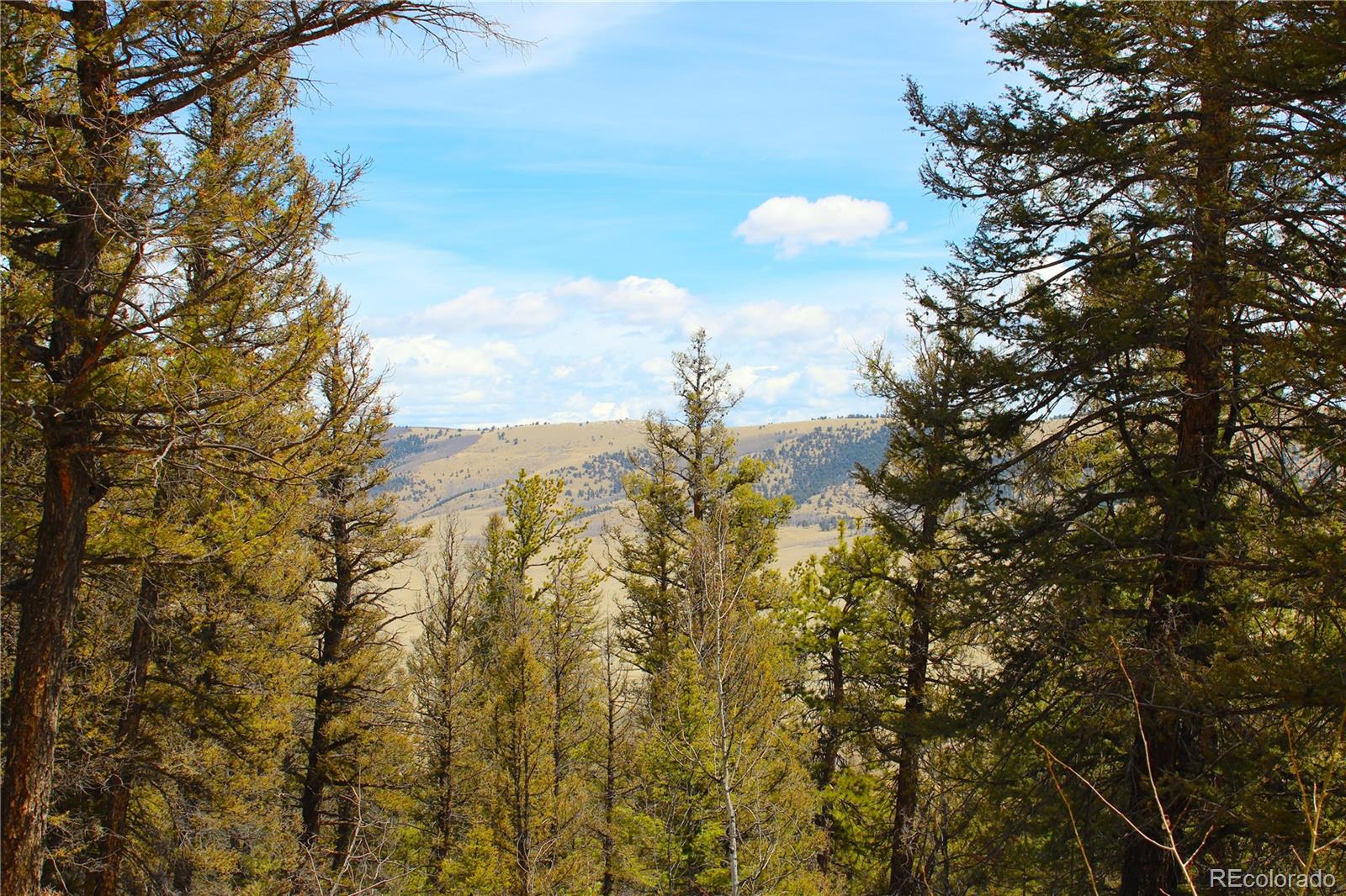 2882 Middle Fork Vista Fairplay CO 80440