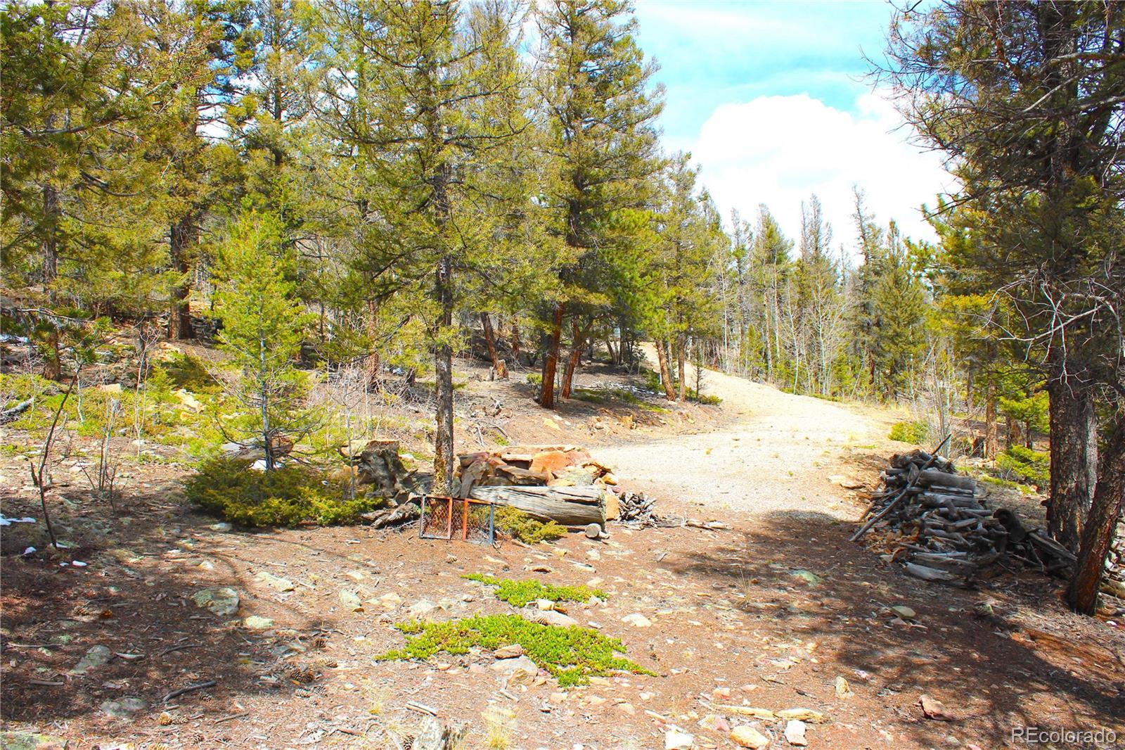 2882 Middle Fork Vista Fairplay CO 80440