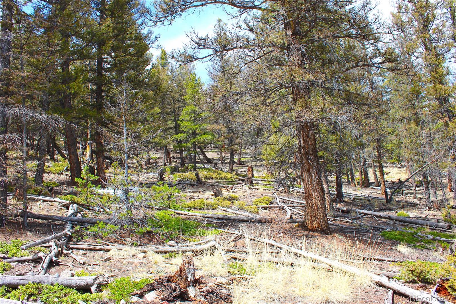 2882 Middle Fork Vista Fairplay CO 80440