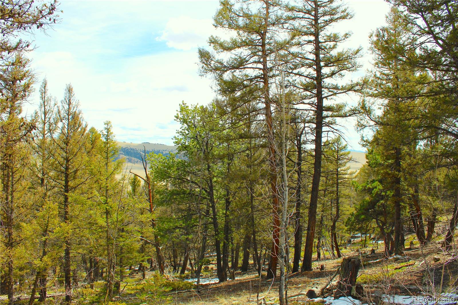2882 Middle Fork Vista Fairplay CO 80440