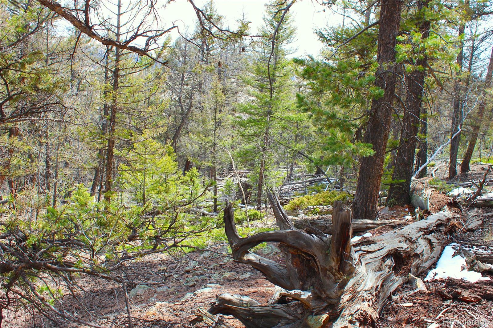 2882 Middle Fork Vista Fairplay CO 80440