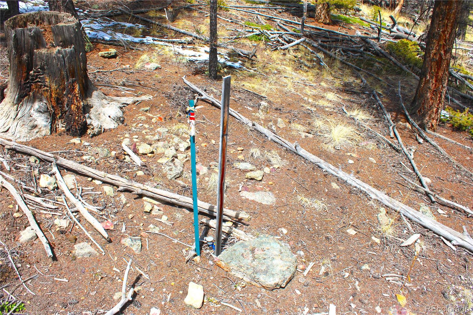 2882 Middle Fork Vista Fairplay CO 80440