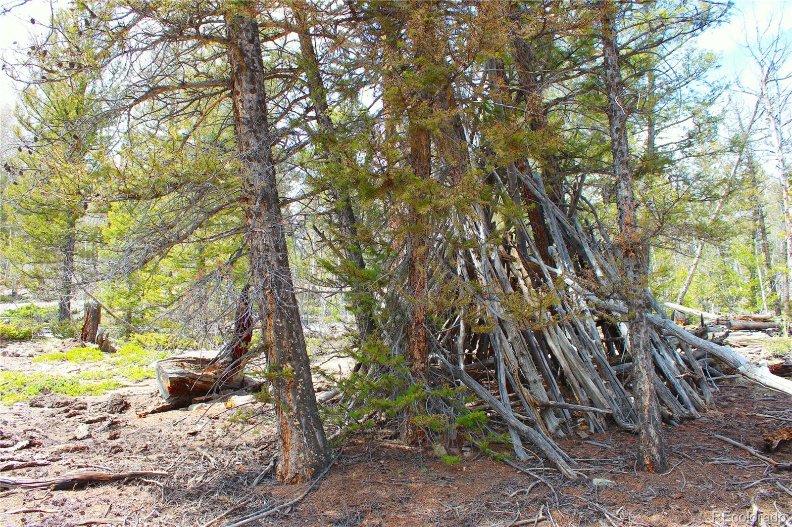 2882 Middle Fork Vista Fairplay CO 80440