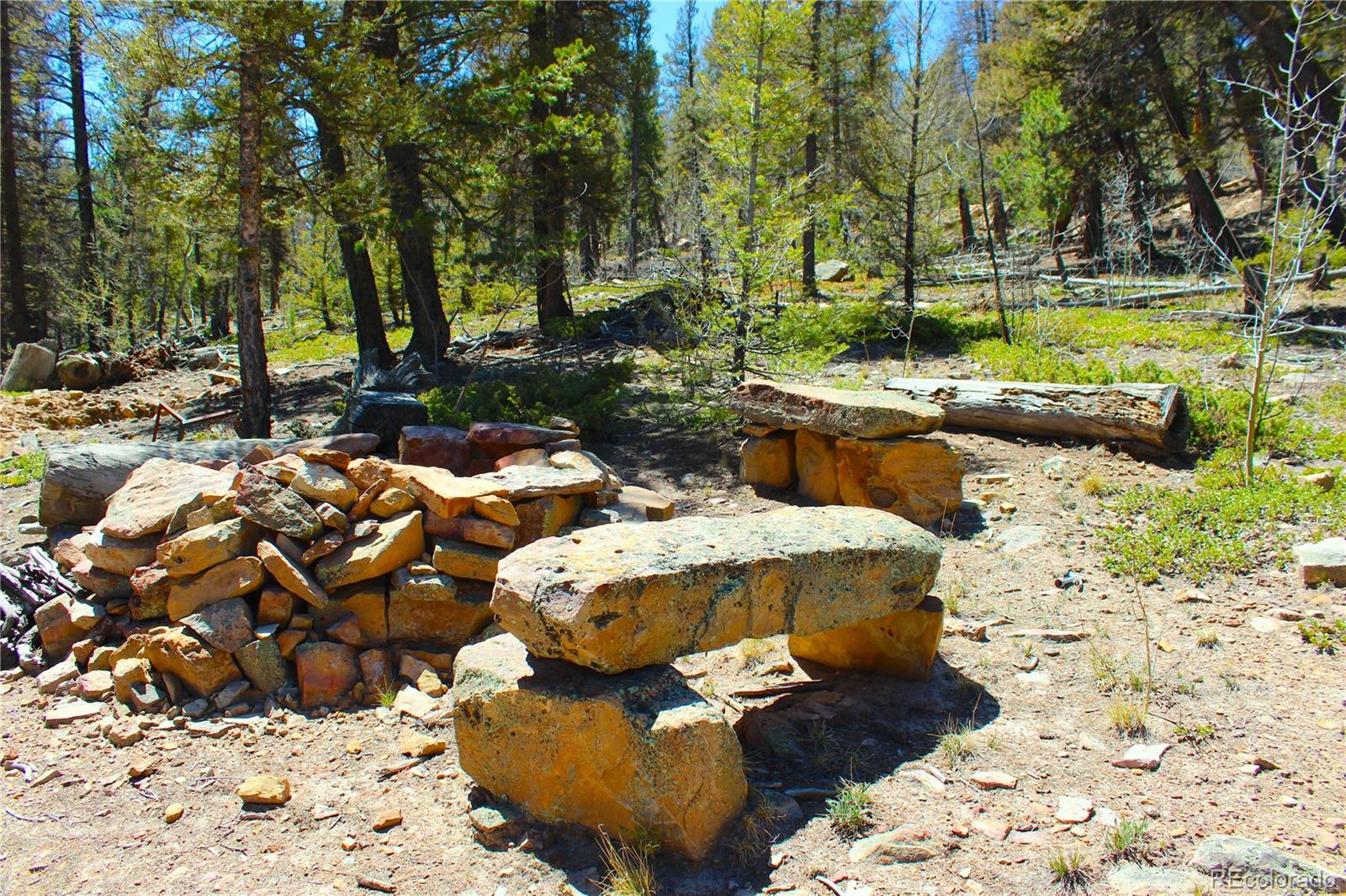2882 Middle Fork Vista Fairplay CO 80440