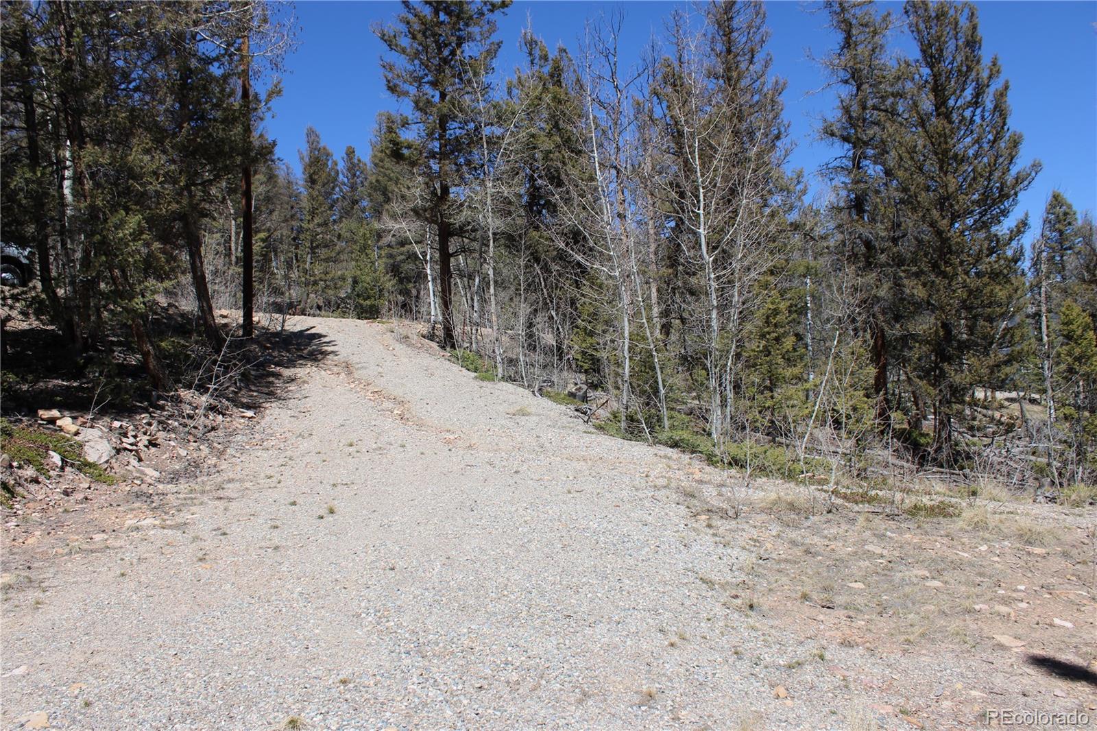 2882 Middle Fork Vista Fairplay CO 80440
