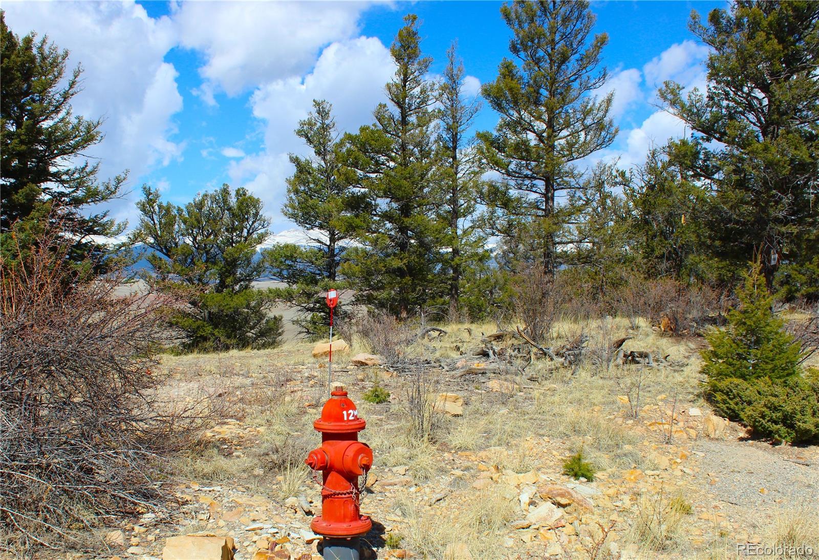 2882 Middle Fork Vista Fairplay CO 80440