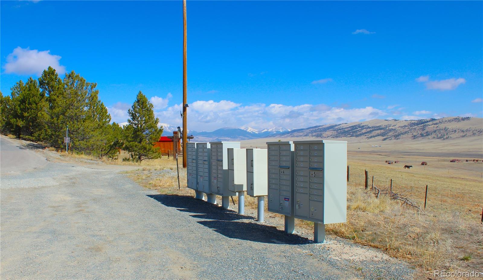 2882 Middle Fork Vista Fairplay CO 80440