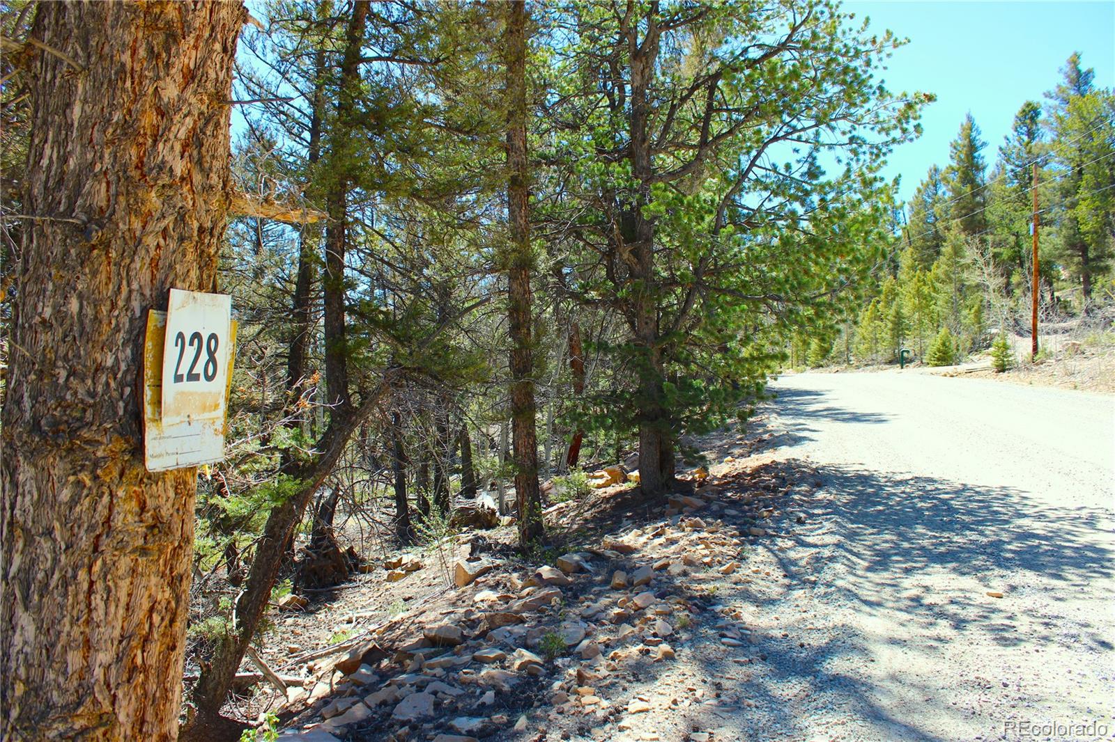 2882 Middle Fork Vista Fairplay CO 80440