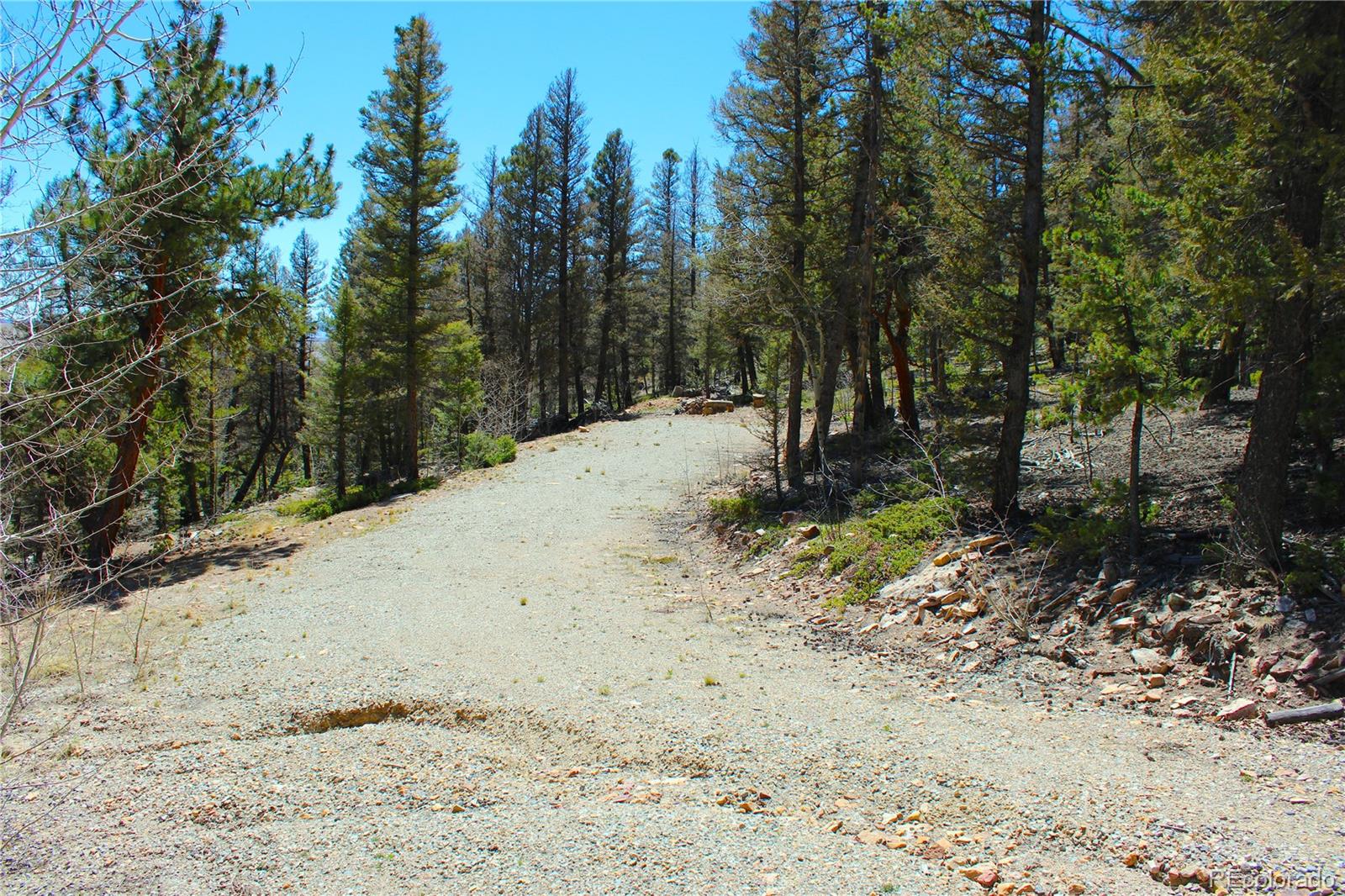 2882 Middle Fork Vista Fairplay CO 80440