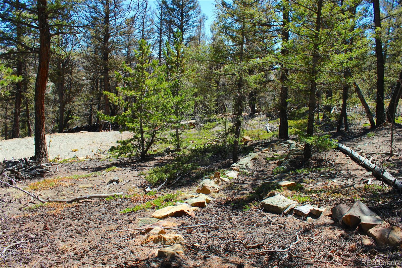 2882 Middle Fork Vista Fairplay CO 80440