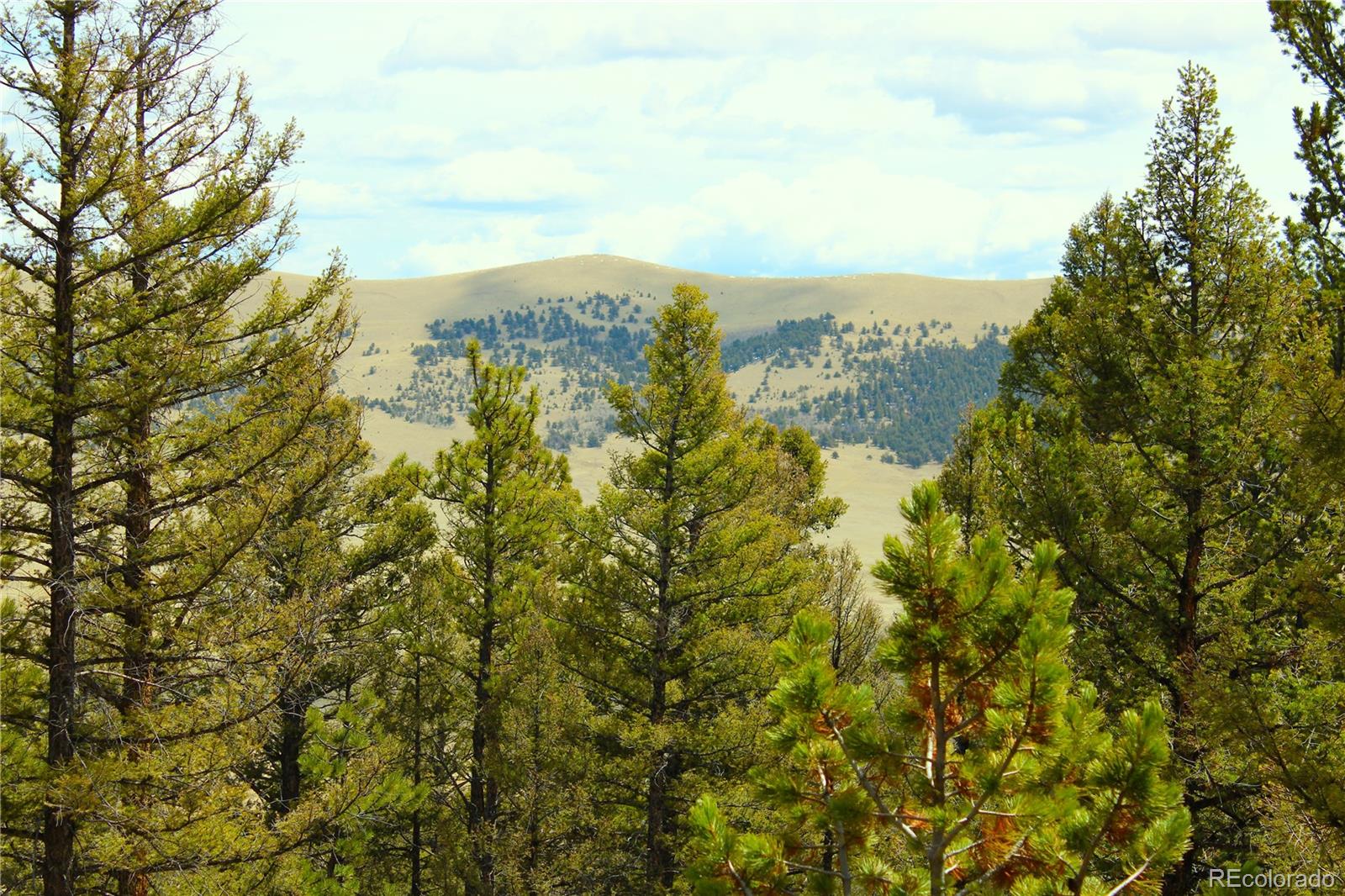 2882 Middle Fork Vista Fairplay CO 80440
